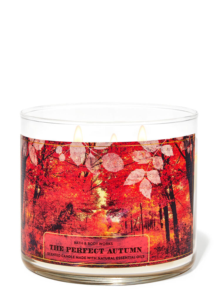 The Perfect Autumn 3-Wick Candle